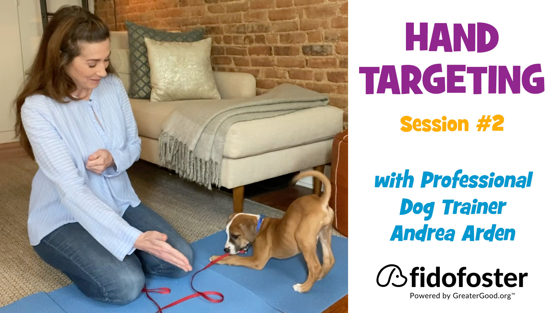 Dog Training with Andrea Hand Targeting, Session 2 Fido Foster