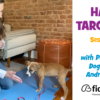 Dog Training Video