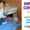 Dog Training Video