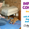 Dog Training Video
