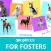 Actual dog photos from Adoptimize